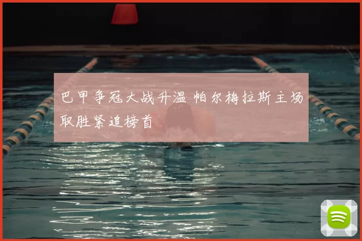 巴甲争冠大战升温 帕尔梅拉斯主场取胜紧追榜首