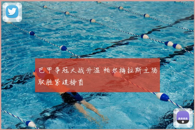 巴甲争冠大战升温 帕尔梅拉斯主场取胜紧追榜首