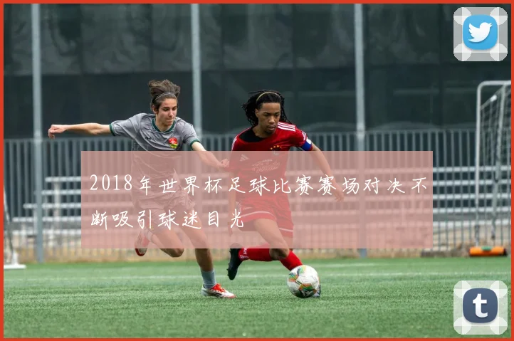 2018年世界杯足球比赛赛场对决不断吸引球迷目光