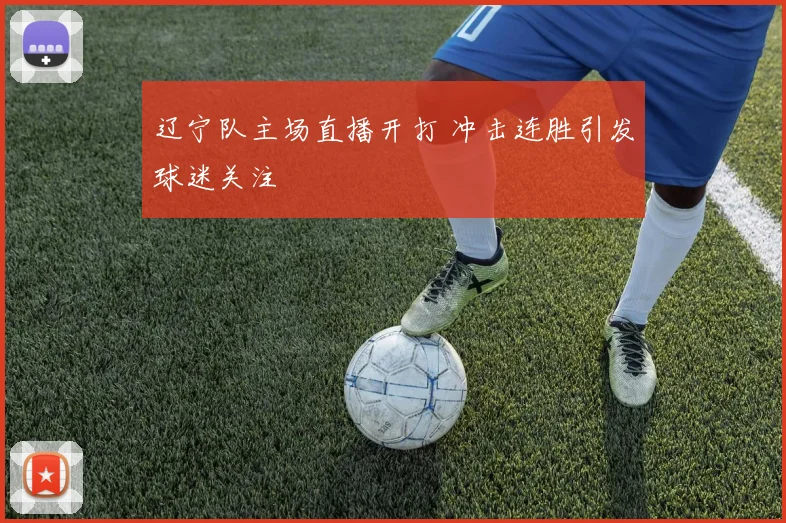 辽宁队主场直播开打 冲击连胜引发球迷关注