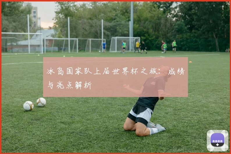 冰岛国家队上届世界杯之旅：成绩与亮点解析